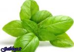 گیاهانی که فشارخون را کم کردن می‌دهند